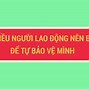 Quyền Nào Là Quyền Lao Động